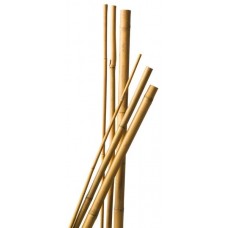Növénytámasz bambusz 1,5 m/10 db